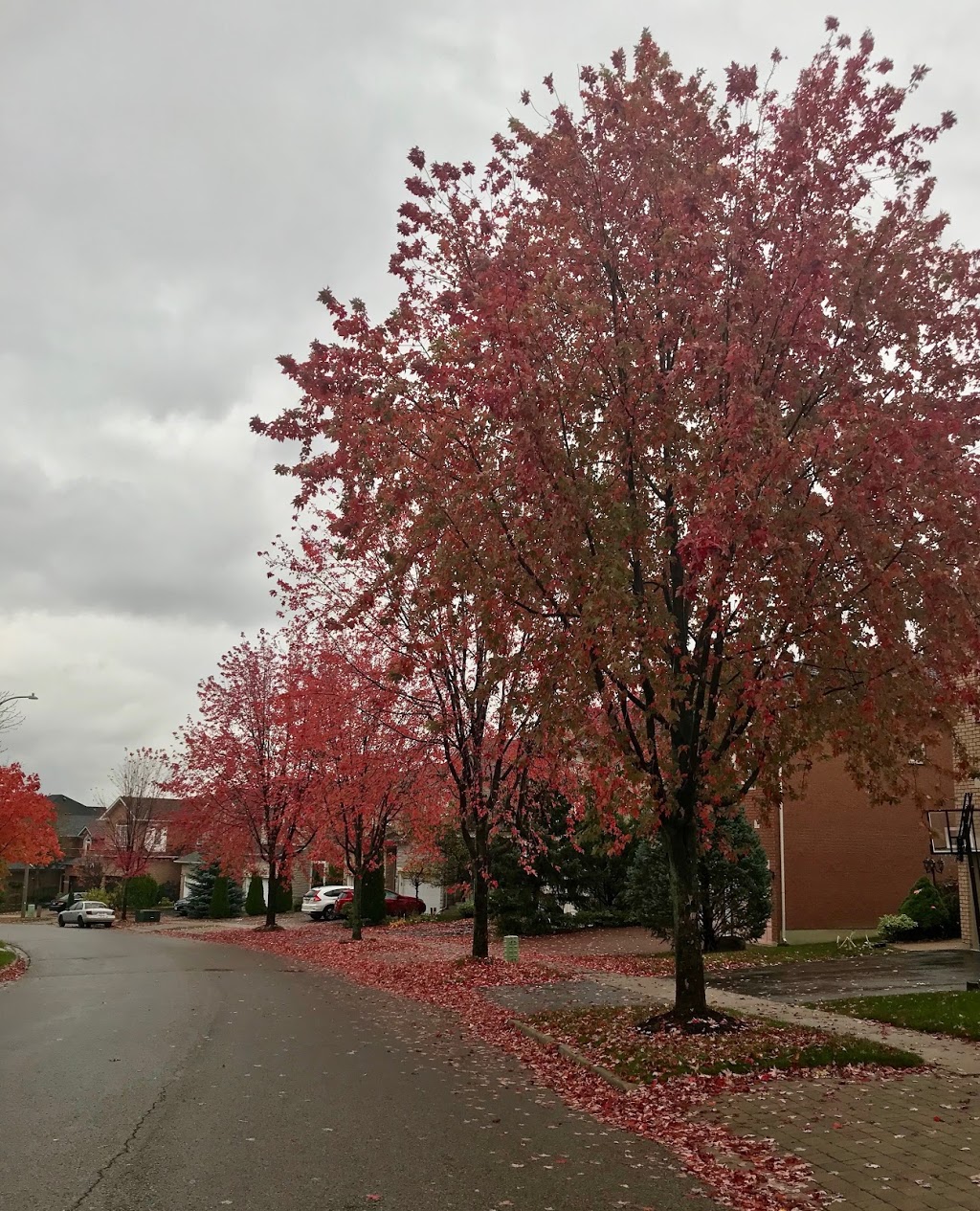 Silver Stream Park | 110 Shirley Dr, Richmond Hill, ON L4S 1Y7, Canada | Phone: (905) 771-8870
