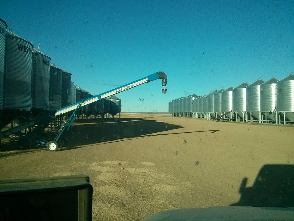 Watson Seeds Ltd. | Saskatchewan 334, Elmsthorpe No. 100, SK S0H 0C0, Canada | Phone: (306) 868-4402