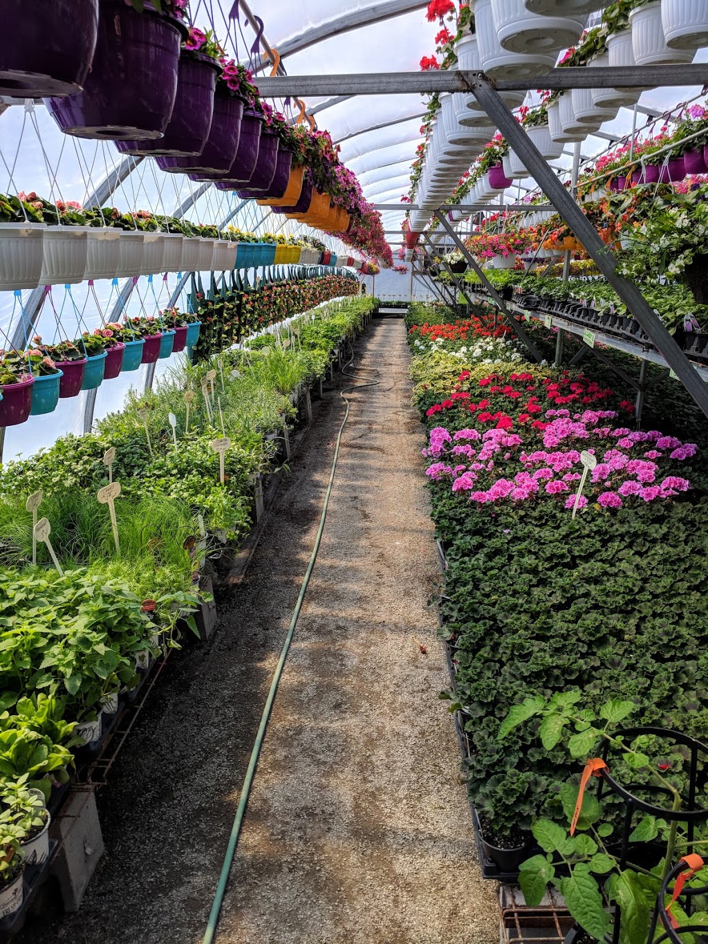 Rileys Garden Center | 2141 Bath Rd, Kingston, ON K7M 4Y3, Canada | Phone: (613) 389-0630