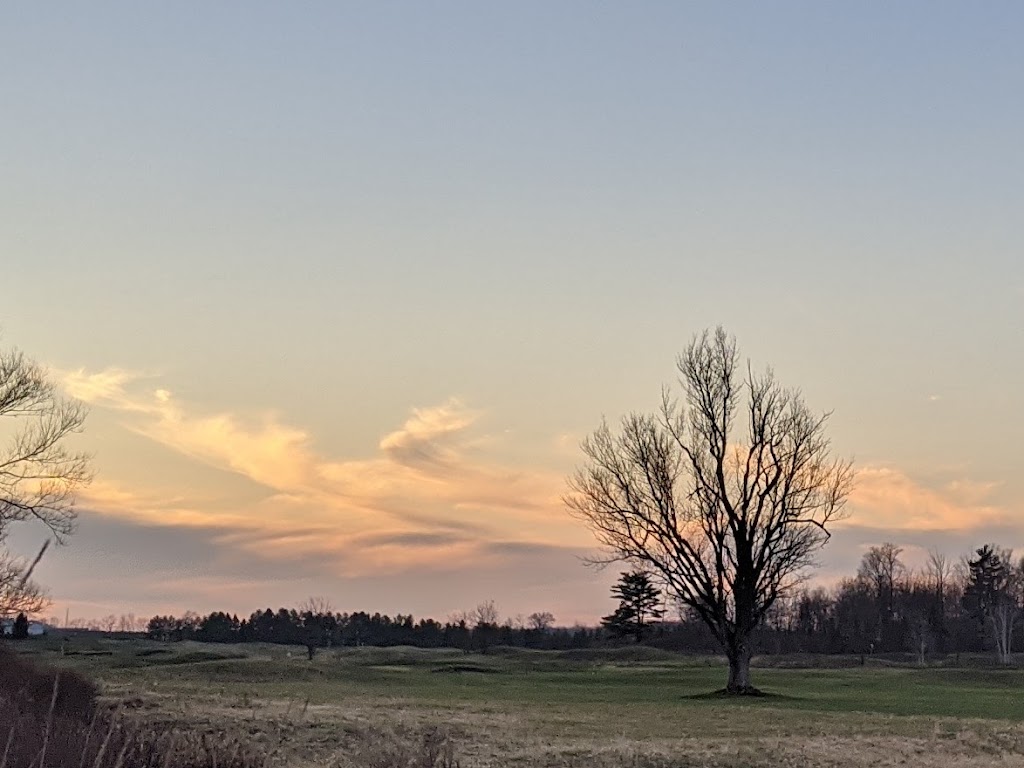 Tarandowah Golfers Club Inc | 15125 Putnam Rd, Springfield, ON N0L 2J0, Canada | Phone: (519) 269-9656