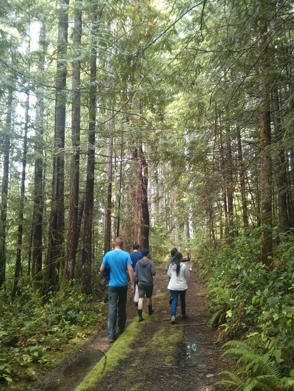 Cowichan Lake Research Station Conference Centre | 7060 Forestry Rd, Mesachie Lake, BC V0R 2N0, Canada | Phone: (250) 749-6811 ext. 21