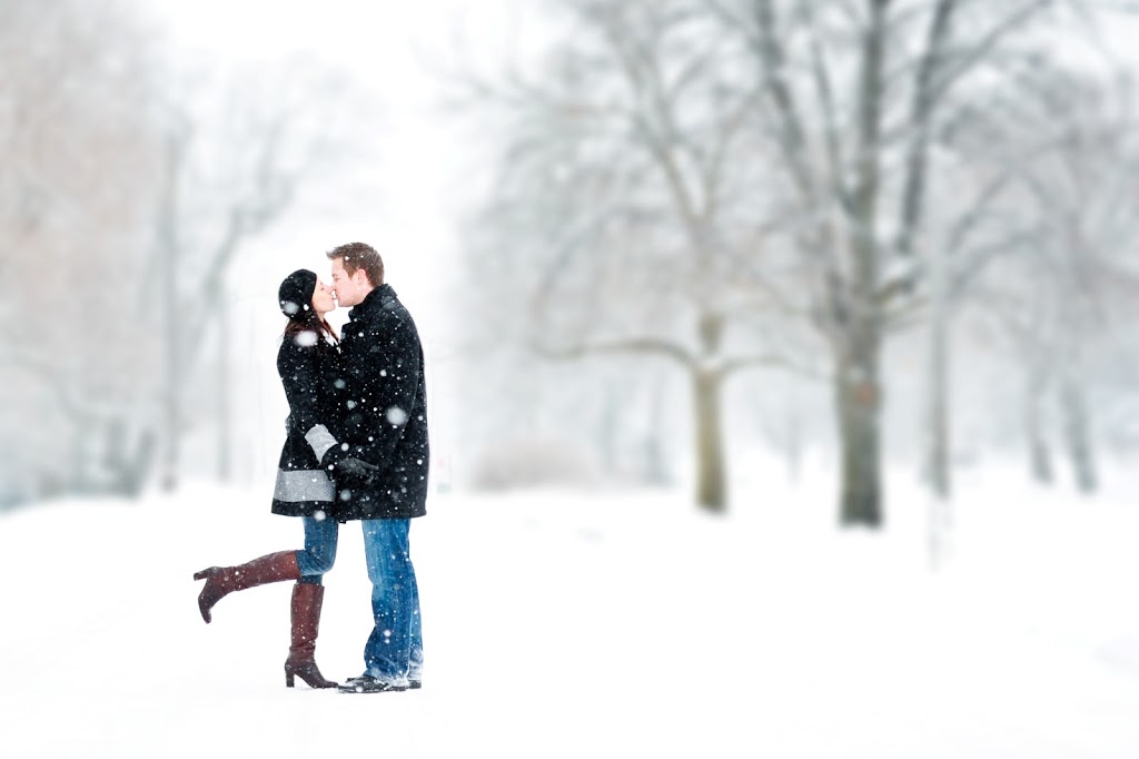 Sheila Braam Photography | 72 Finnie Ln, Elora, ON N0B 1S0, Canada | Phone: (519) 574-8594