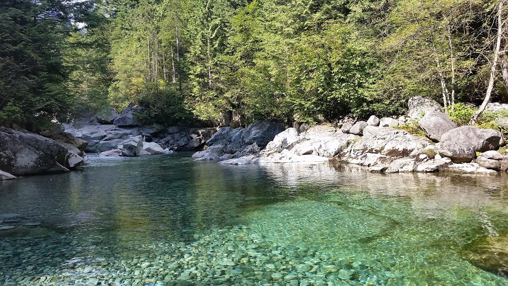 Widgeon Valley National Wildlife Area | Greater Vancouver A, BC, Canada