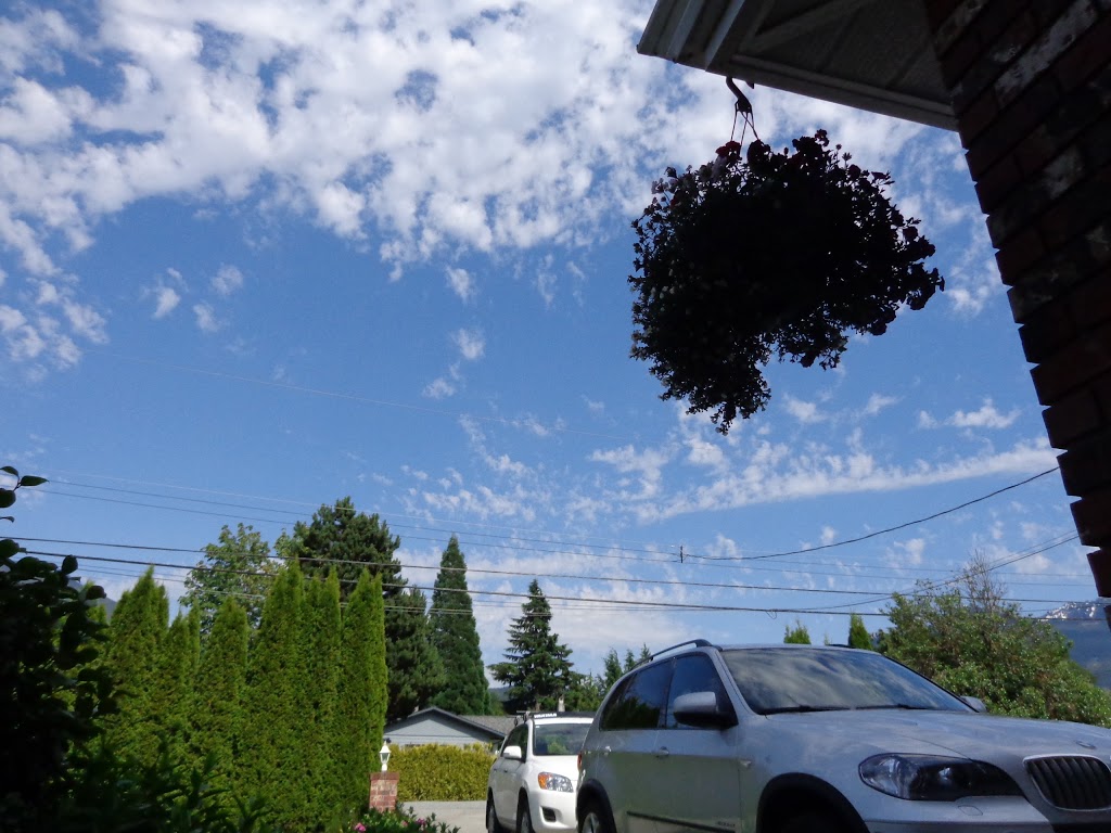 꿈의 궁전 | 40247 Diamond Head Rd, Squamish, BC V8B 0G2, Canada | Phone: (604) 898-1005