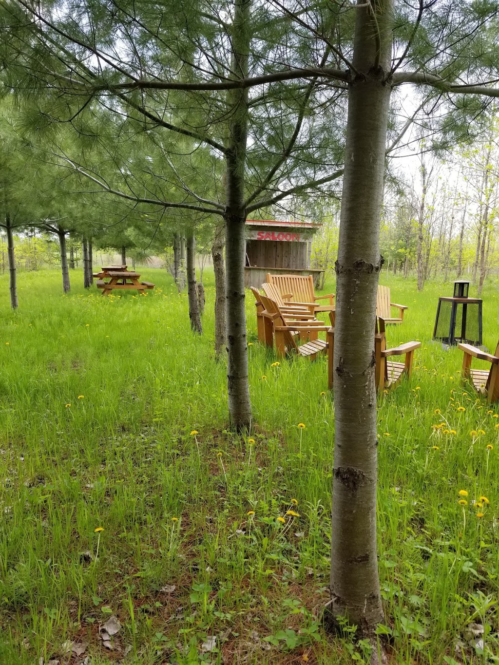 Fondation Quebecoise Fauna | 3802 Chemin Bellerive, Carignan, QC J3L 3P9, Canada | Phone: (450) 658-1844