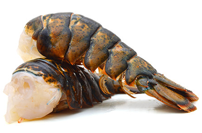 Suncoast Seafood | 87 Chem. du Quai, Grande-Digue, NB E4R 4H7, Canada | Phone: (506) 576-6684