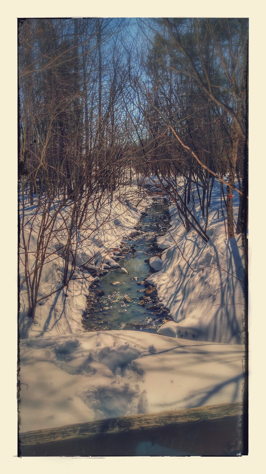 Parc René-Lévesque | 323 Chemin Lebaudy, Gatineau, QC J8V 3W4, Canada