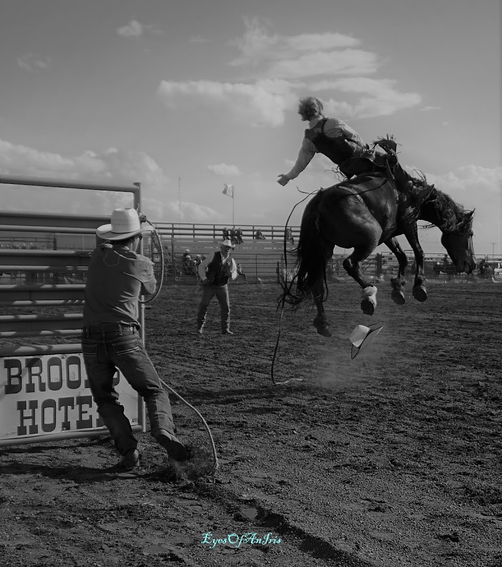 Eyes Of An Iris Photography | 6220 Orr Dr Unit 18, Red Deer, AB T4P 3Z8, Canada | Phone: (403) 427-1292