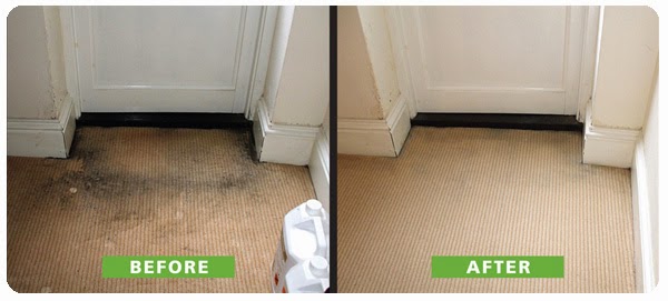 ON THE SPOT CARPET & UPHOLSTERY CLEANING | 8898 Anchor Bay Dr, Algonac, MI 48001, USA | Phone: (586) 335-5123
