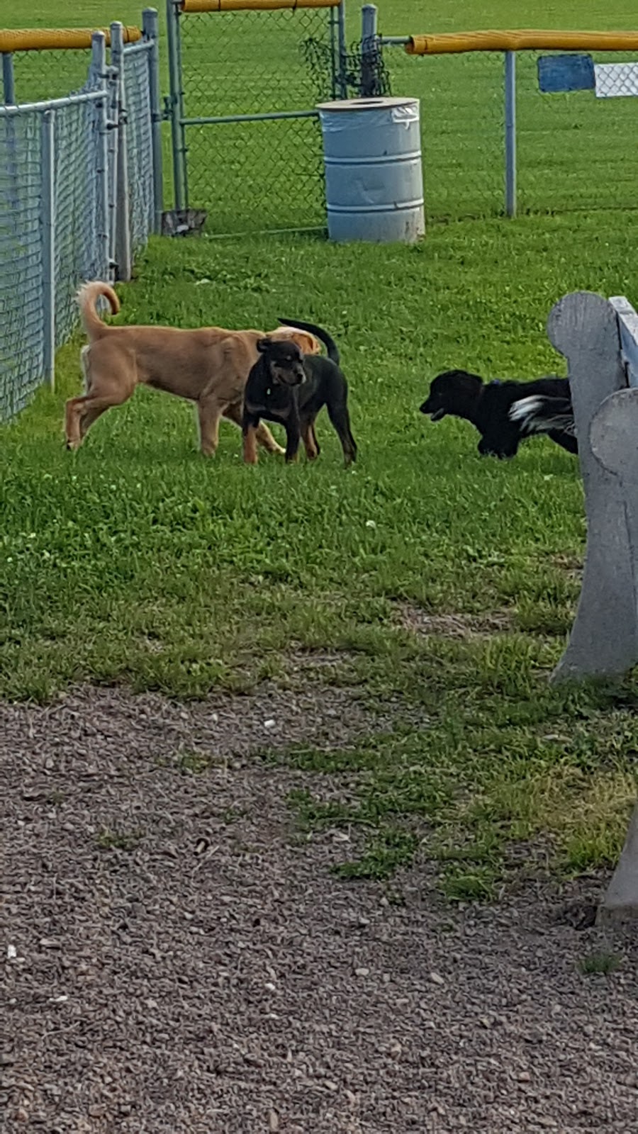 Truro - Bible Hill Off-Leash Dog Park | Lorne St, Truro, NS B2N 2C9, Canada | Phone: (902) 893-6078