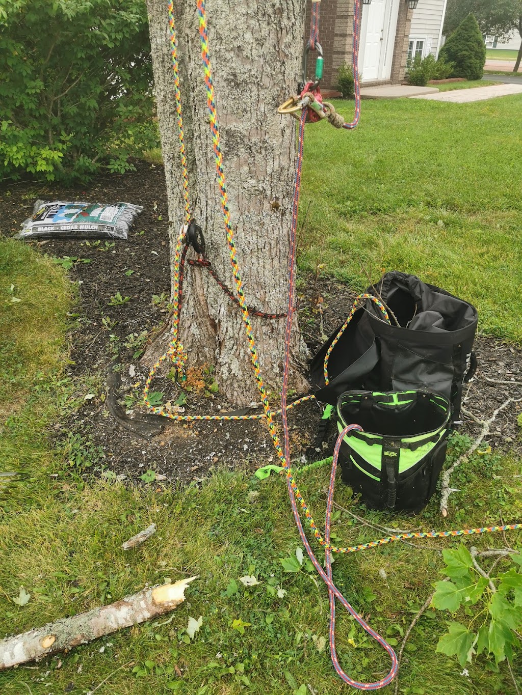 RR Property Care | 336 Pictou Rd, Truro, NS B2N 6H3, Canada | Phone: (902) 899-5869