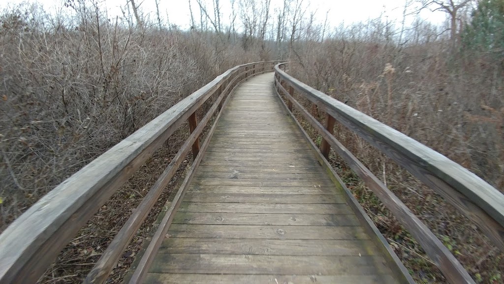 Tillman Road Wildlife Management Area | 9988 Wehrle Dr, Clarence, NY 14031, USA | Phone: (716) 372-0645