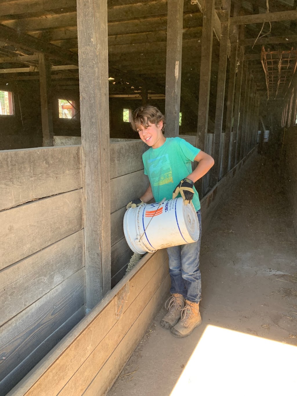 Ferme Sanglier des Bois | 440 Rang Petit Capsa, Saint-Augustin-de-Desmaures, QC G3A 1W8, Canada | Phone: (418) 878-0010