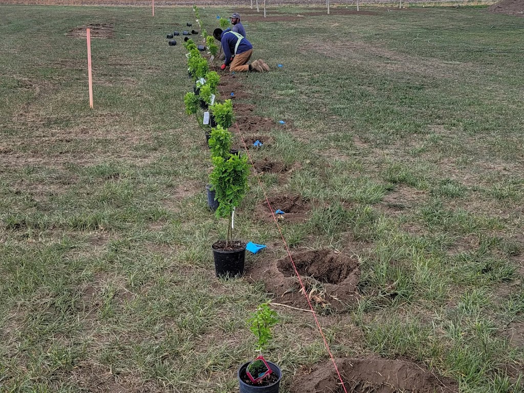 Ecoterra Landservices Ltd. | 2227 22nd Ave, Coaldale, AB T1M 1H5, Canada | Phone: (403) 394-3478
