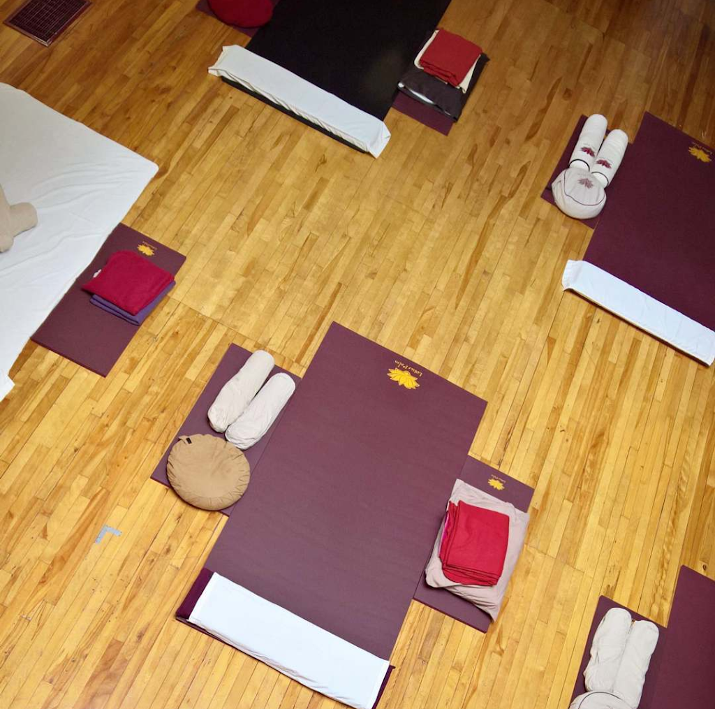 Lotus Palm Montreal | 5244 Rue Saint-Urbain, Montréal, QC H2T 2W9, Canada | Phone: (514) 270-5713