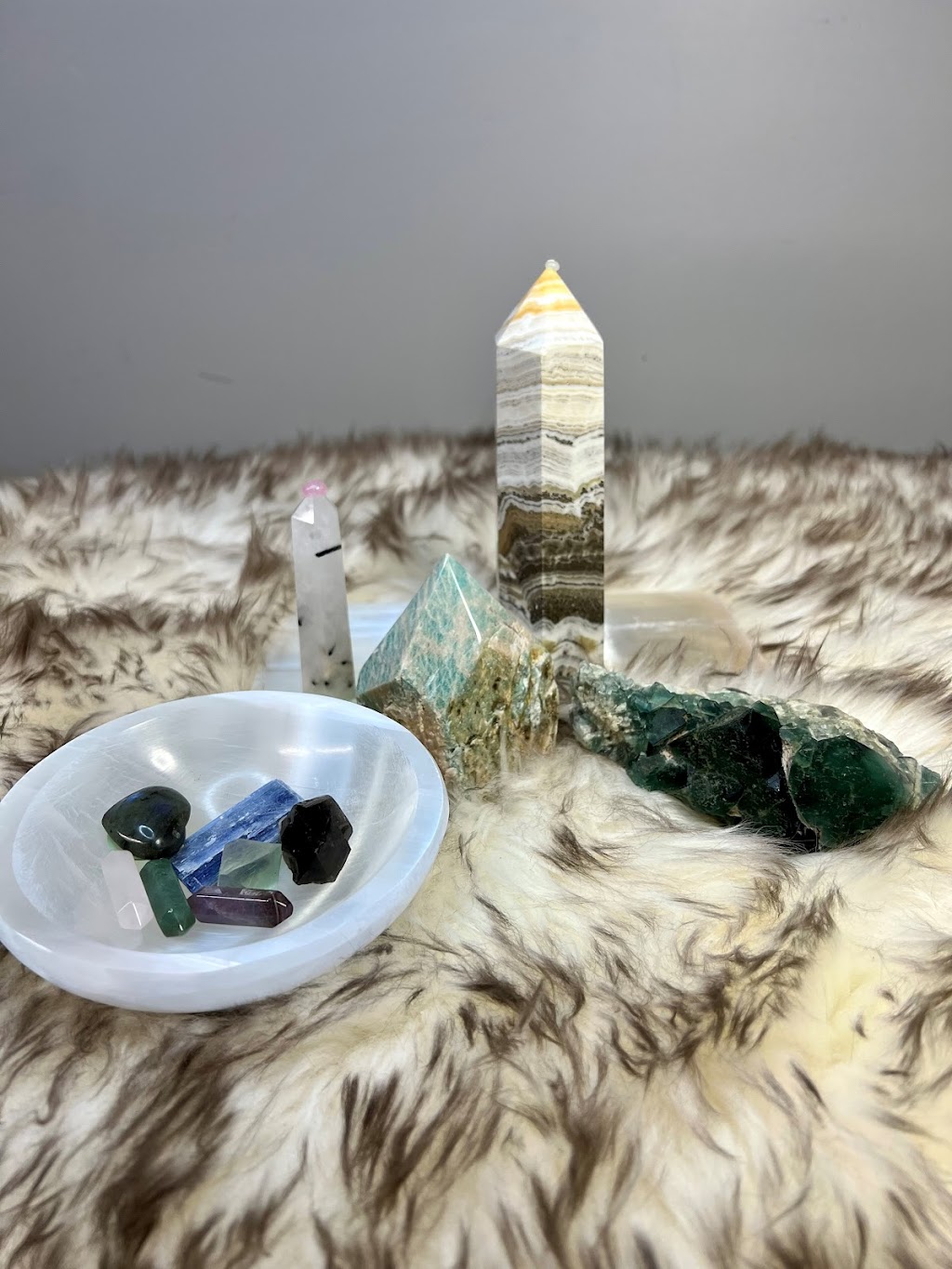 Chameleon Crystals | 54 Bartor Rd, North York, ON M9M 2G5, Canada | Phone: (647) 404-7291