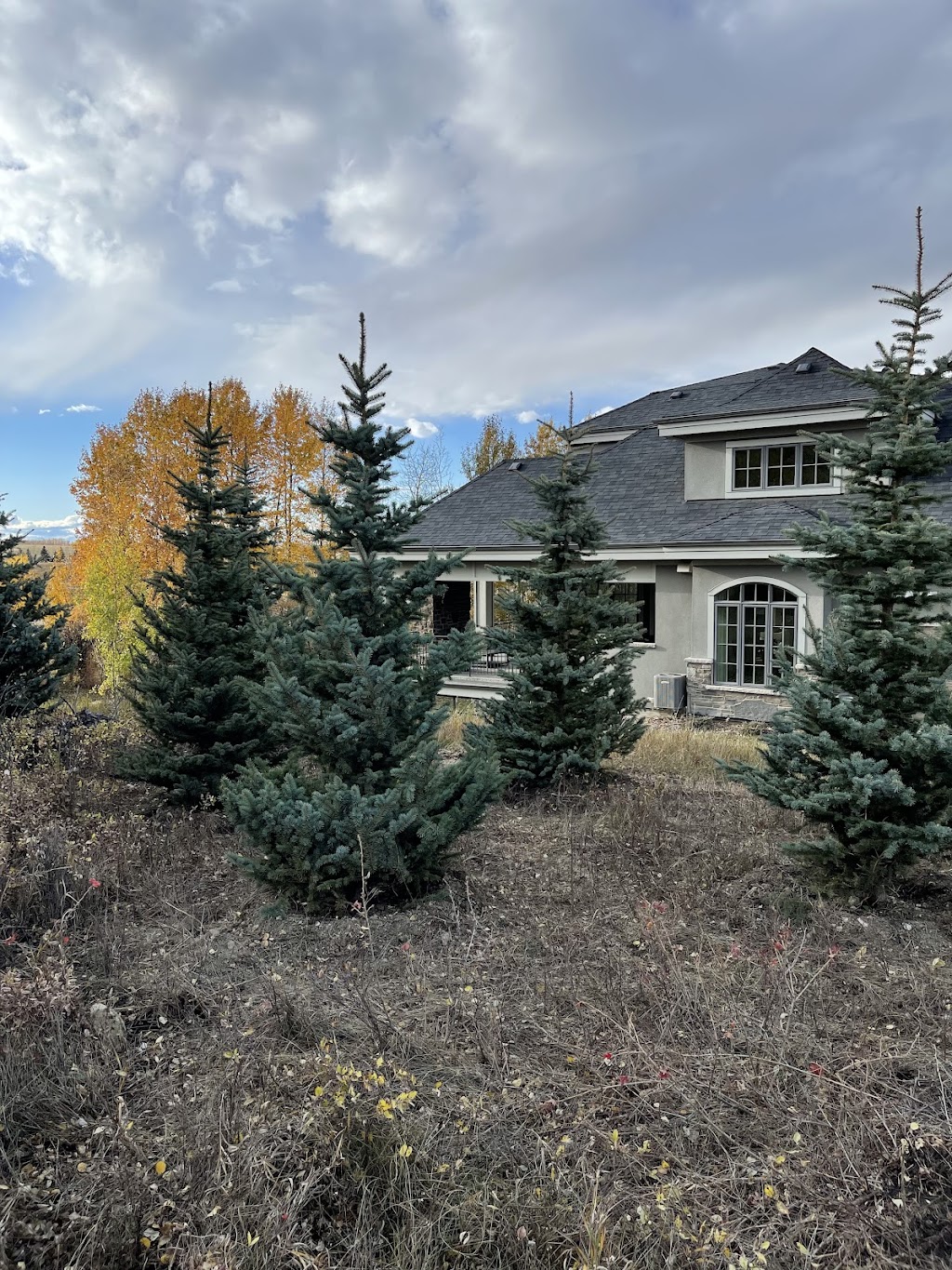 Vollmin Trees | 261043 Range Rd 24, Calgary, AB T3R 1E3, Canada | Phone: (403) 860-6957