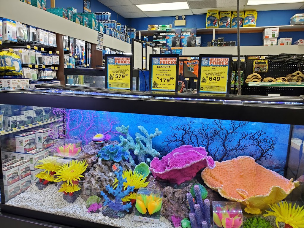 Big Als Kitchener | 509 Wilson Ave, Kitchener, ON N2C 2M4, Canada | Phone: (519) 894-1810