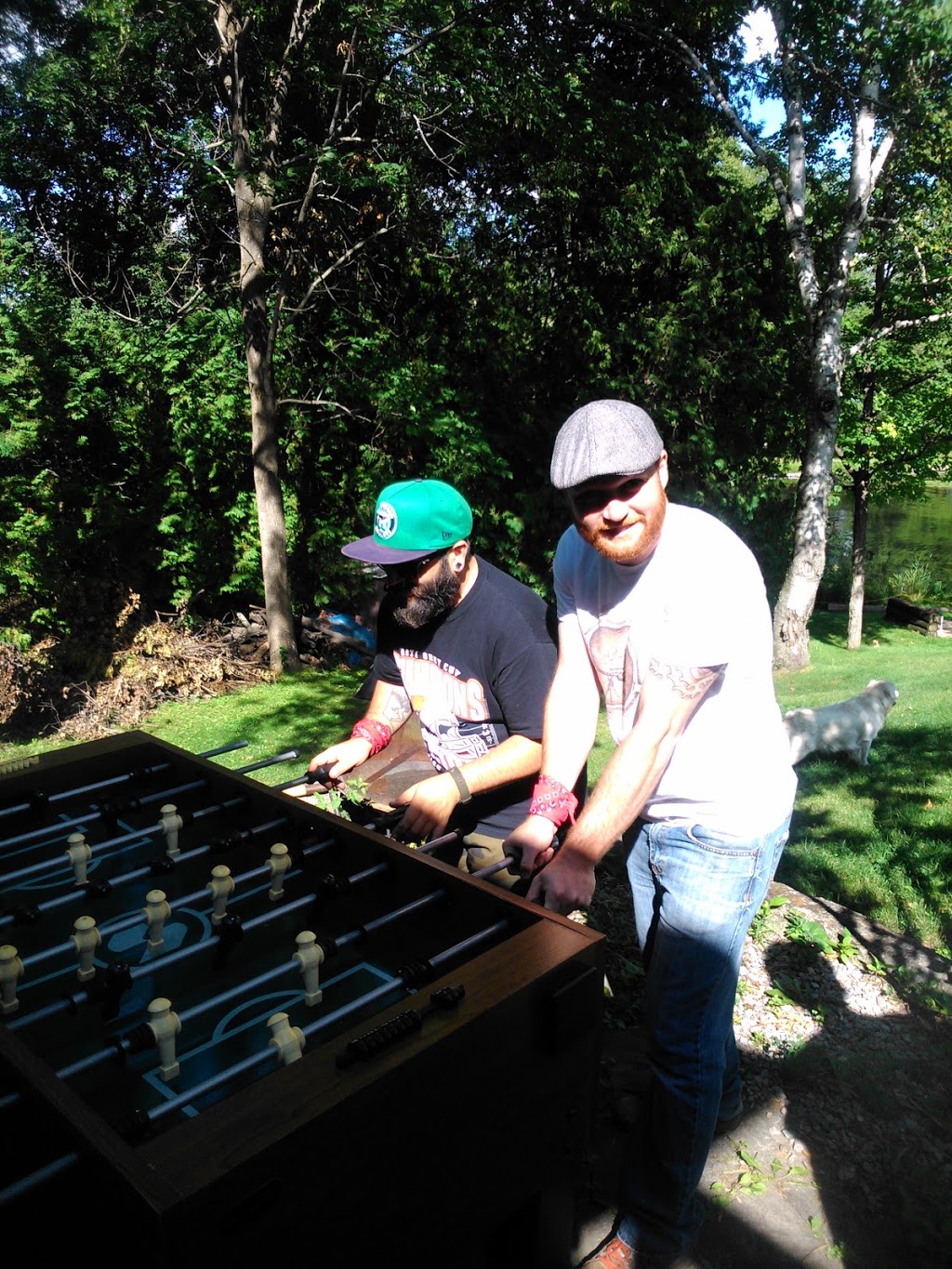 Precision Duct Cleaning | 205 Arnott Dr RR 2, Ennismore, ON K0L 1T0, Canada | Phone: (705) 292-5826
