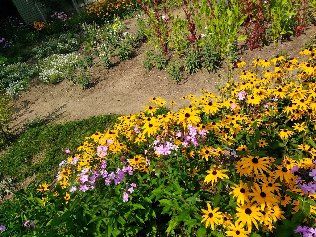 Schneider Creek | Pioneer Park, Kitchener, ON N2P, Canada