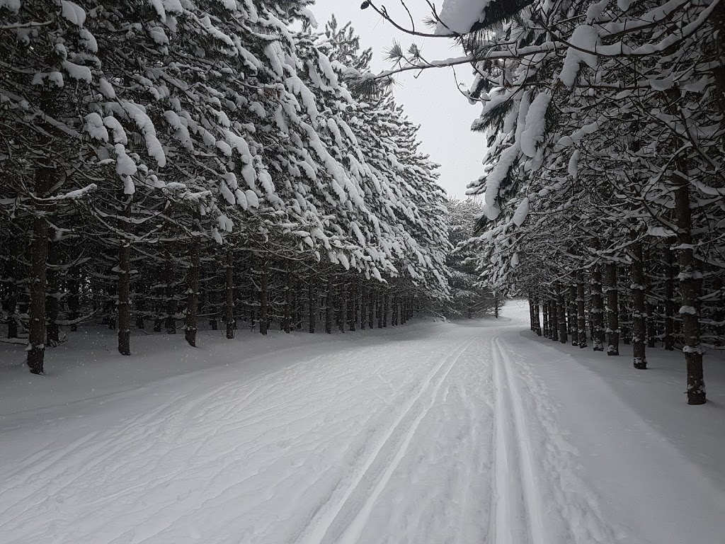 Hardwood Ski and Bike | 402 Old Barrie Rd W, Oro-Medonte, ON L0L 2E0, Canada | Phone: (705) 487-3775