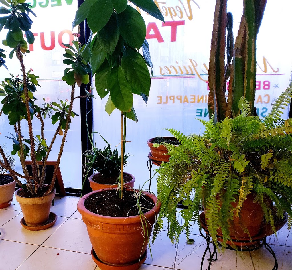 Irie Veggie Takeout | 2593 Eglinton Ave W, York, ON M6M 1T3, Canada | Phone: (416) 653-4825