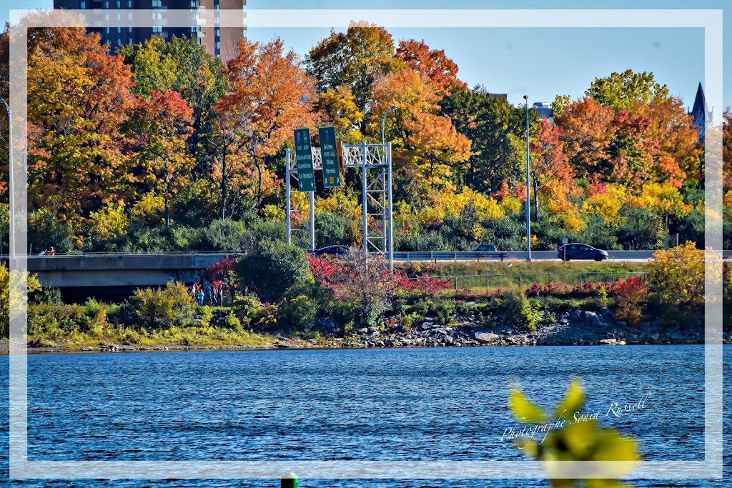 Photographe Professionnelle Sonia Russell | 15a Ch du Verger, Chelsea, QC J9B 1K5, Canada | Phone: (819) 930-4774