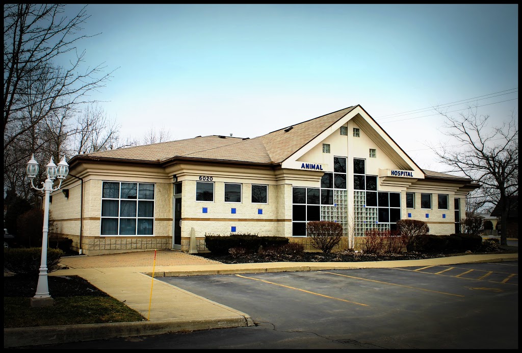 Transit Animal Hospital | 6020 Transit Rd, Depew, NY 14043, USA | Phone: (716) 683-7136