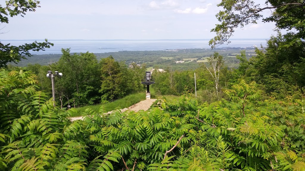 Blue Mountain Parking Lot - Central Lift | 221 Swiss Meadows Blvd #201, Ravenna, ON N0H 2E0, Canada