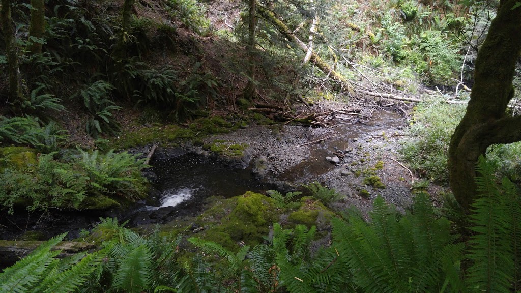 Coho Preserve, San Juan County Land Bank | On Point Lawrence Rd, 500 ft east of, Olga Rd, Olga, WA 98279, USA