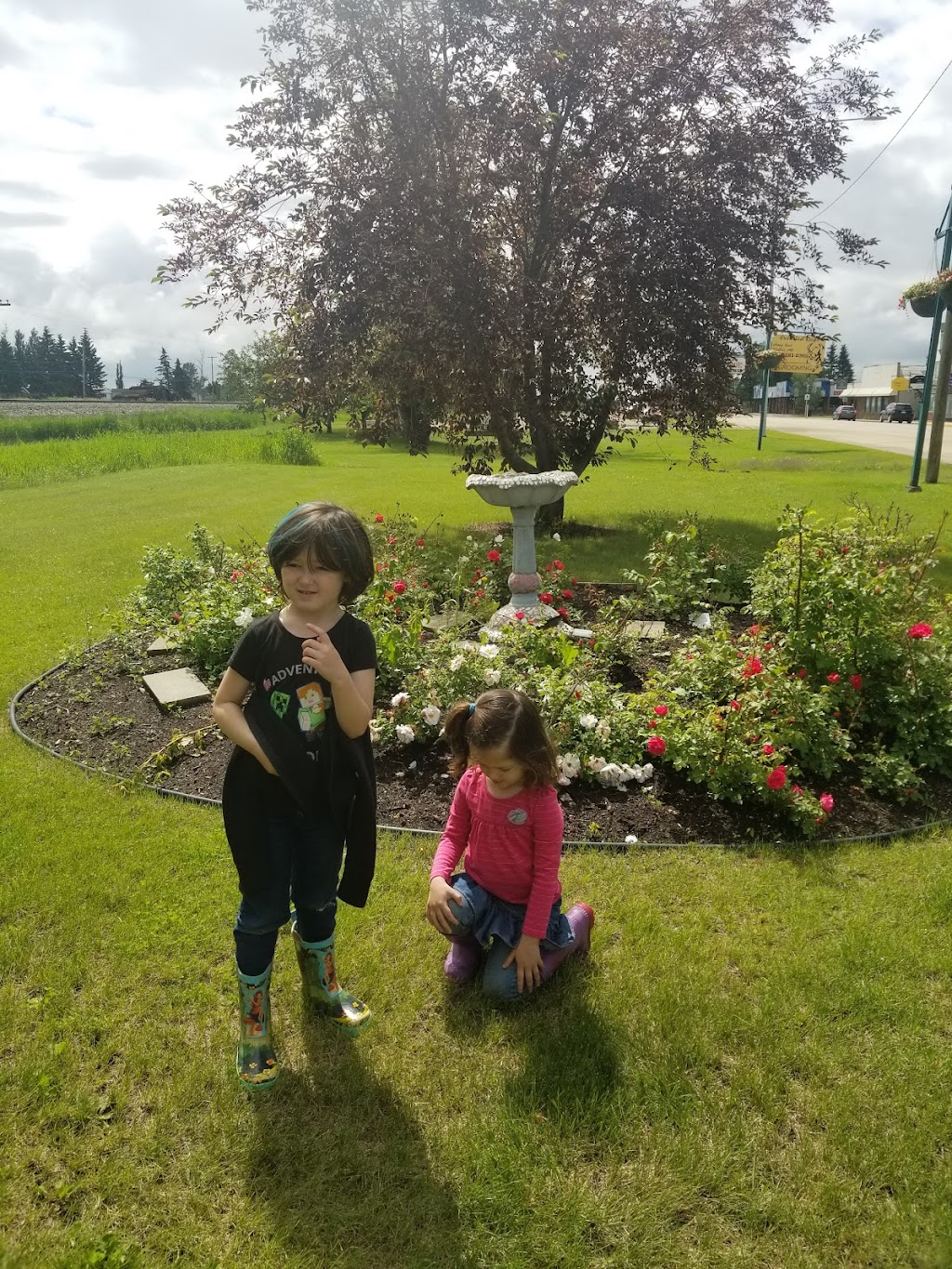 The Millet Memorable Rose Garden | 5020 50 St, Millet, AB T0C 1Z0, Canada | Phone: (780) 387-4554