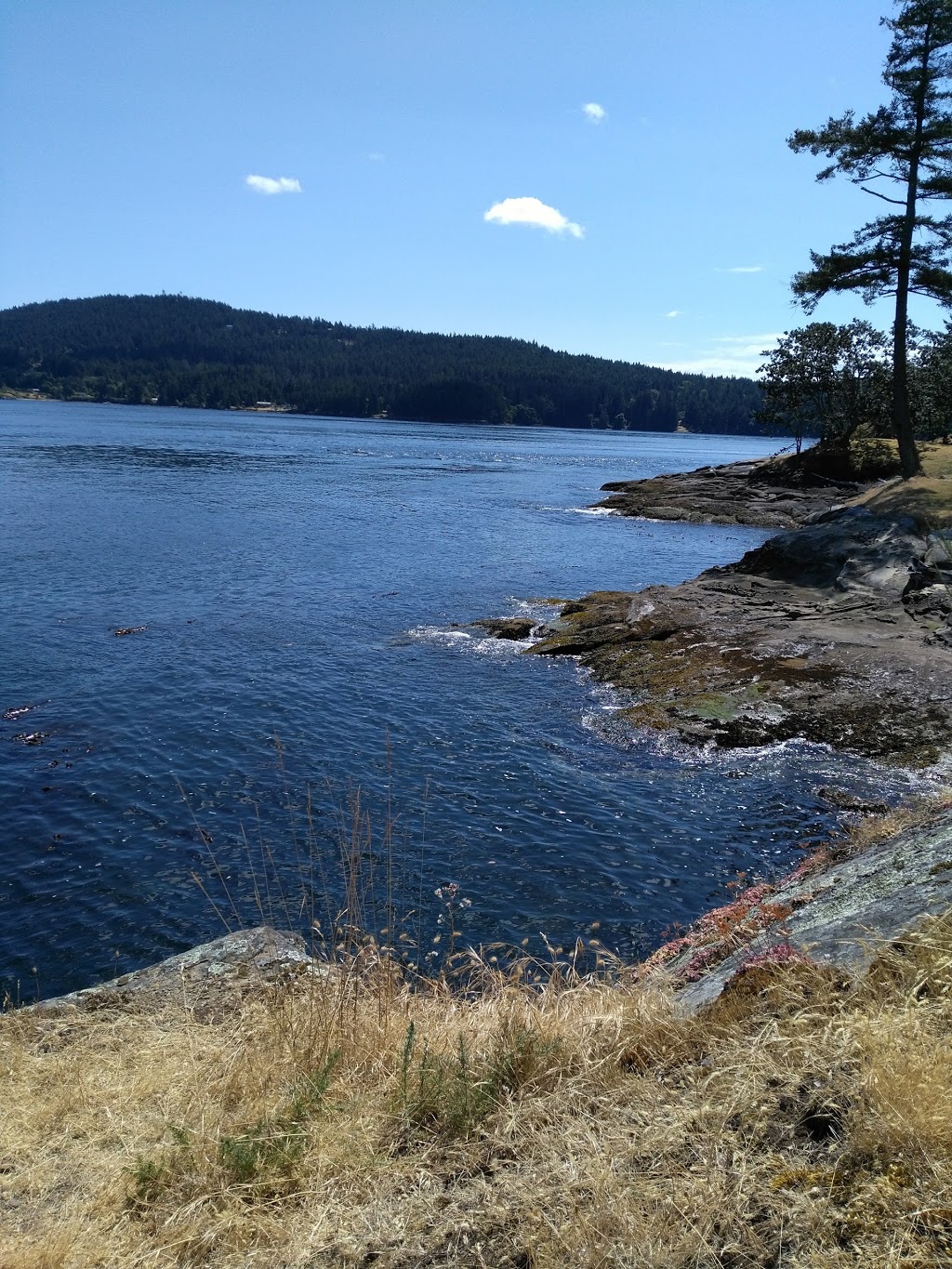 Shore Access 14 | 297 Mary Anne Point Rd, Mayne Island, BC V0N 2J0, Canada