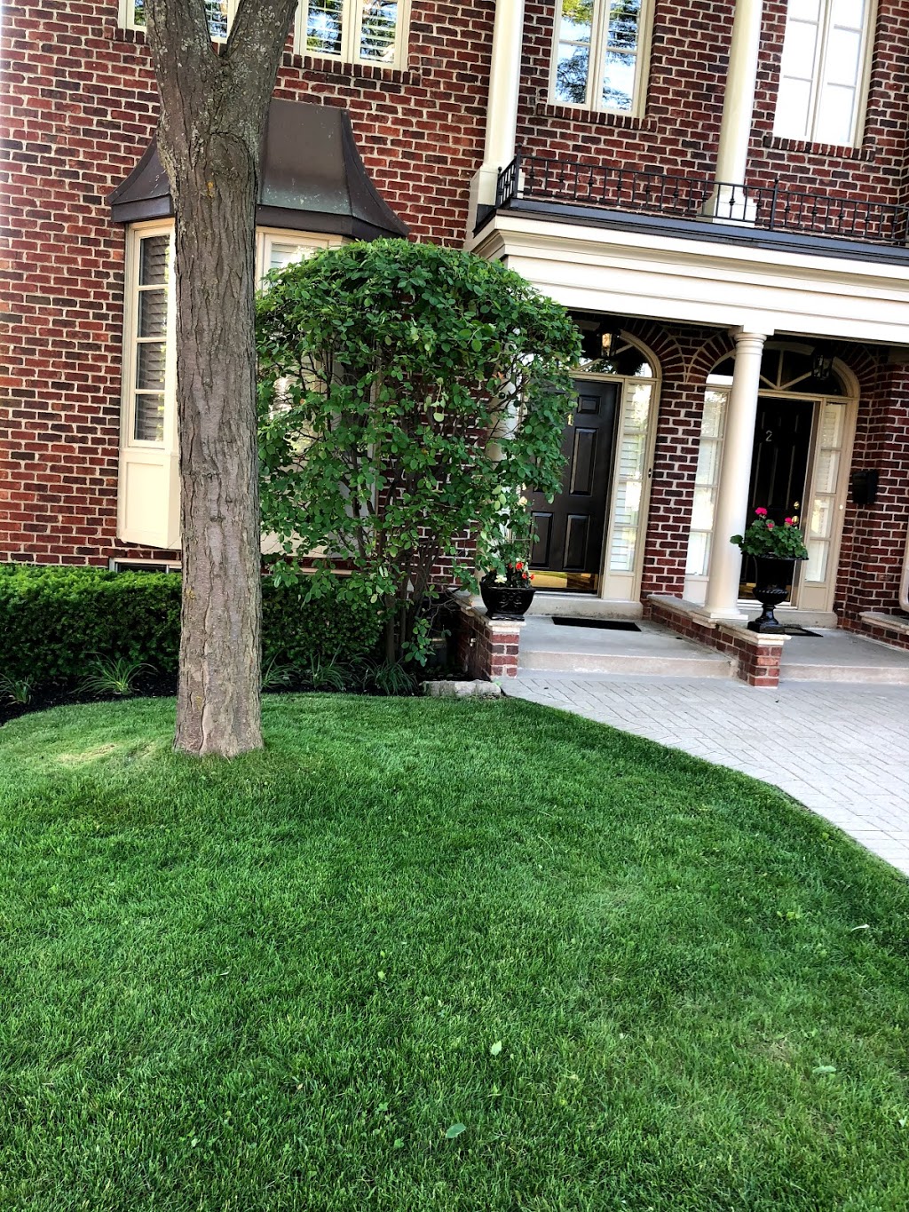 Tico lawn care | 105 West Lodge Ave, Toronto, ON M6K 2T5, Canada | Phone: (647) 282-3703
