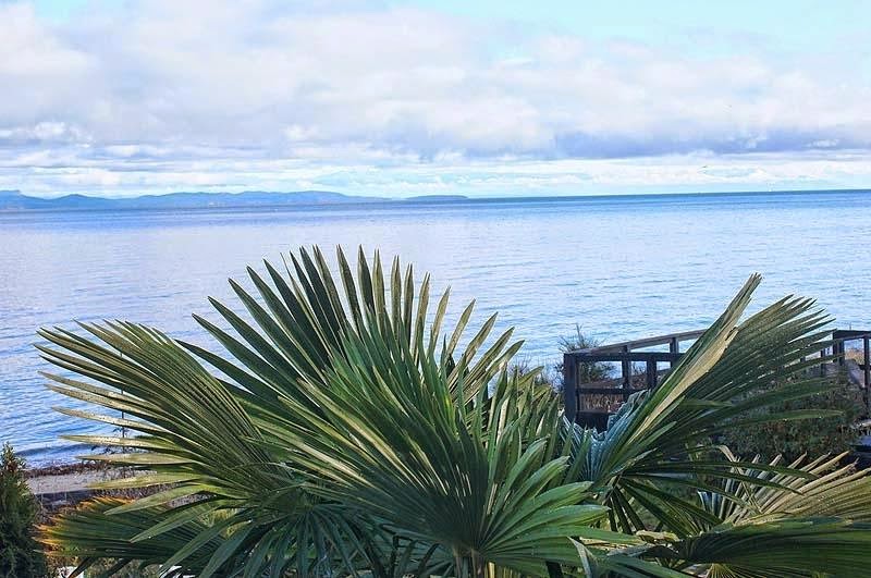 Buena Vista by the Sea | 3285 Island Hwy W, Qualicum Beach, BC V9K 2C6, Canada | Phone: (250) 752-6661