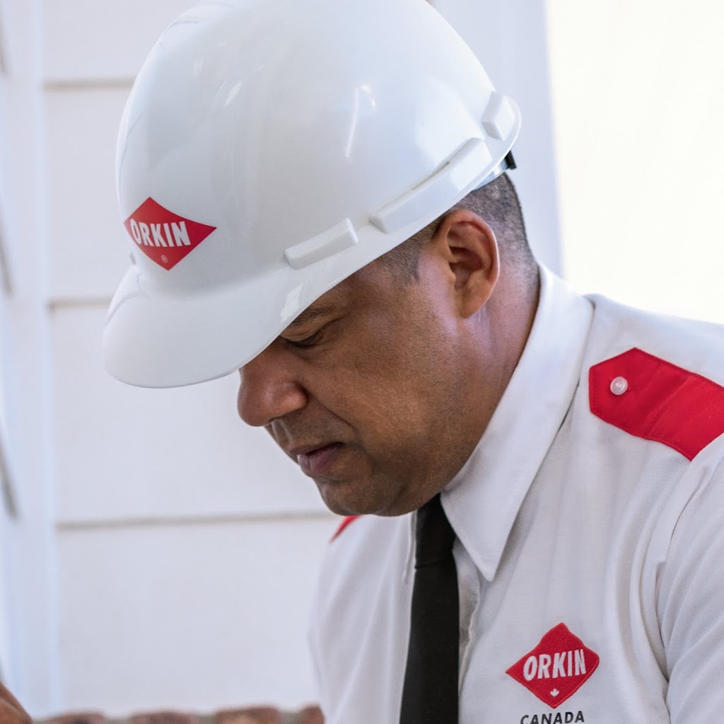 Orkin Canada Pest Control | 3109 Sexsmith Rd #3, Kelowna, BC V1X 7S6, Canada | Phone: (800) 570-4157