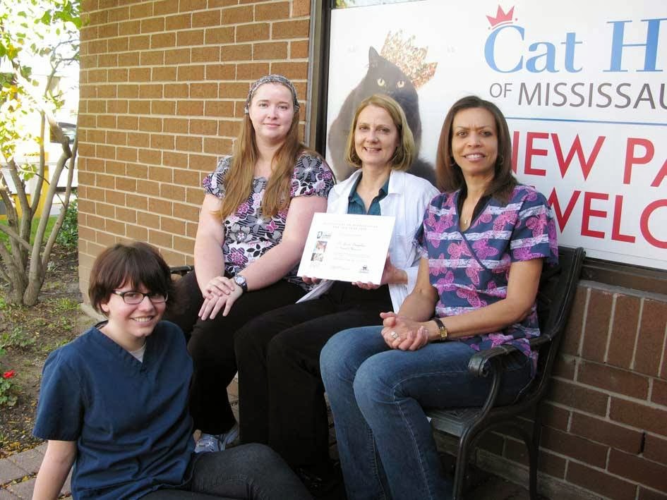 Cat Hospital Of Mississauga | 848 Burnhamthorpe Rd W, Mississauga, ON L5C 2S3, Canada | Phone: (905) 896-2287