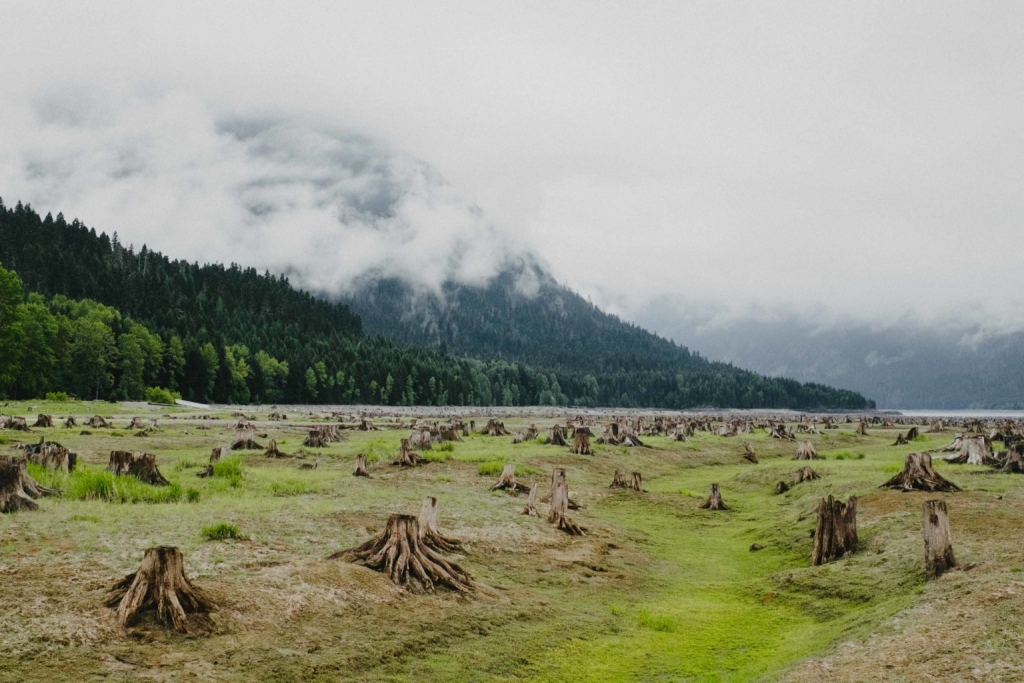 Skagit Valley Provincial Park | Hope, BC V0X 1L2, Canada | Phone: (604) 986-9371
