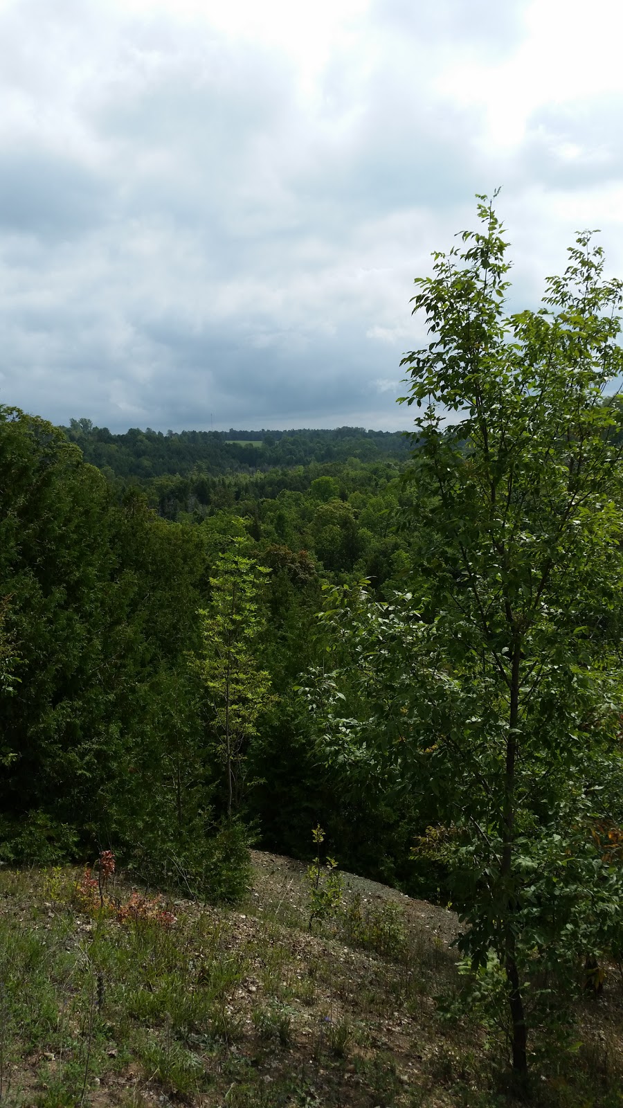 River Place Park | 232352 2 Wgr Conc, Ayton, ON N0G 1C0, Canada | Phone: (800) 265-2551
