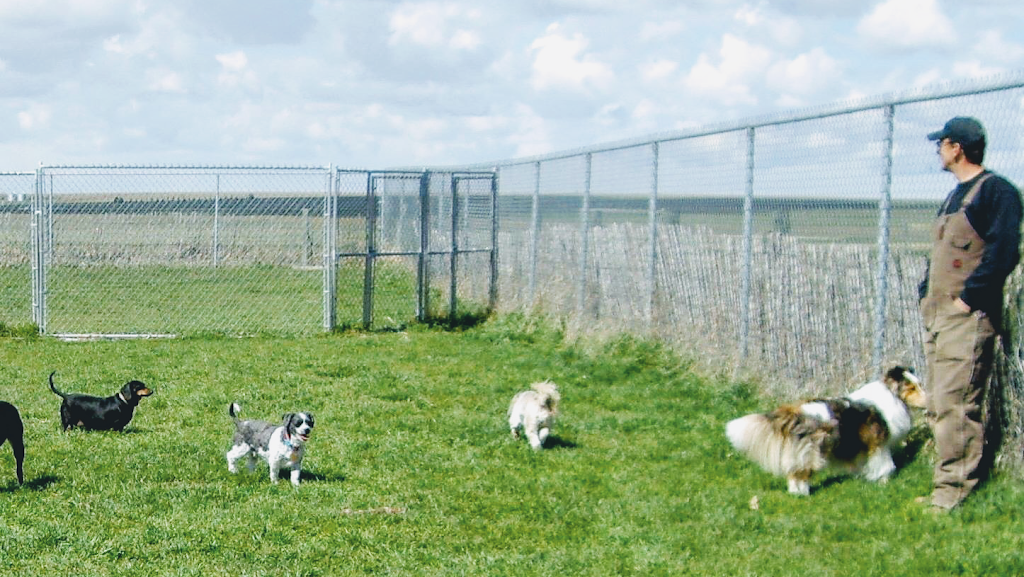 Kellys Kountry Kennels | Township Rd 104 & Range Rd 23-4, Nobleford, AB T0L 1S0, Canada | Phone: (403) 824-3905