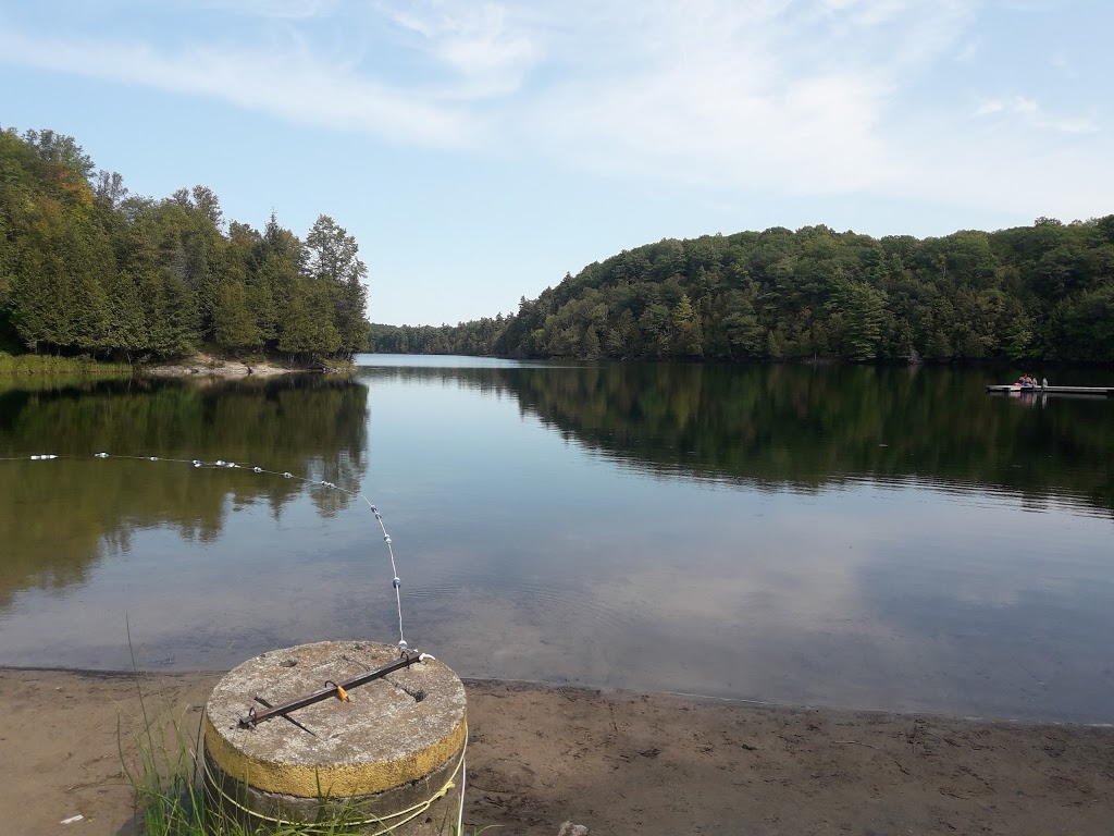 Gould Lake Conservation Area | 1540 Gould Lake Rd, Sydenham, ON K0H 2T0, Canada | Phone: (613) 546-4228