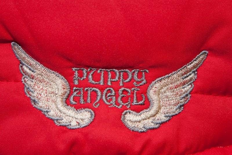 Puppy Angel | 1 Boulevard de Sardaigne, Candiac, QC J5R 0A1, Canada | Phone: (450) 444-4441