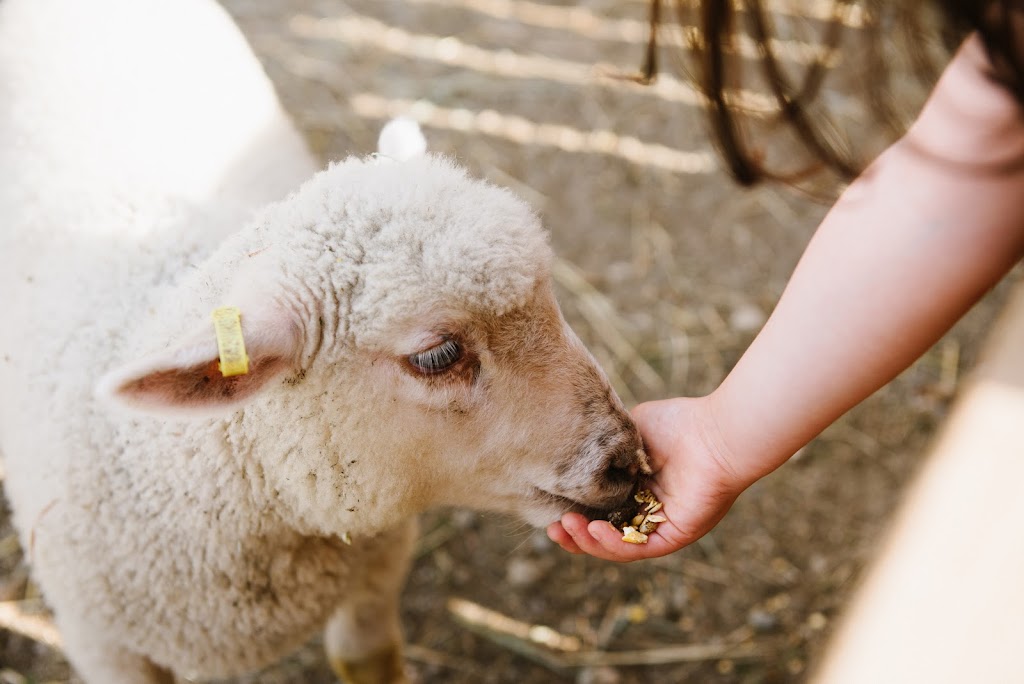 Heart & Sol Coastal Farm | 6282 Crowston Rd, Sechelt, BC V0N 3A5, Canada | Phone: (604) 710-4992