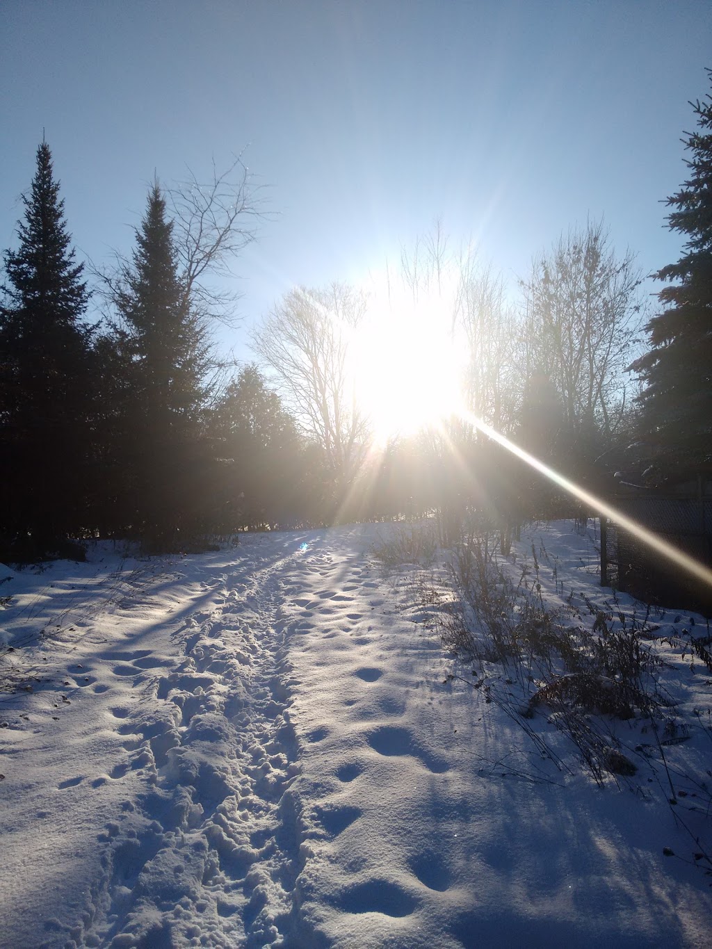Cardinal Woods Park | Richmond Hill, ON L4E 3Y6, Canada