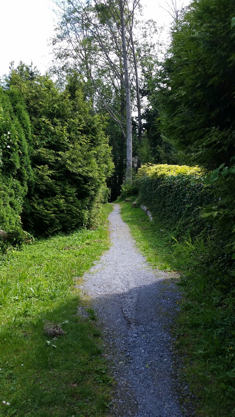 Charles Rummel Park | 3325 Piper Ave, Burnaby, BC V5A 2A8, Canada | Phone: (604) 294-7450
