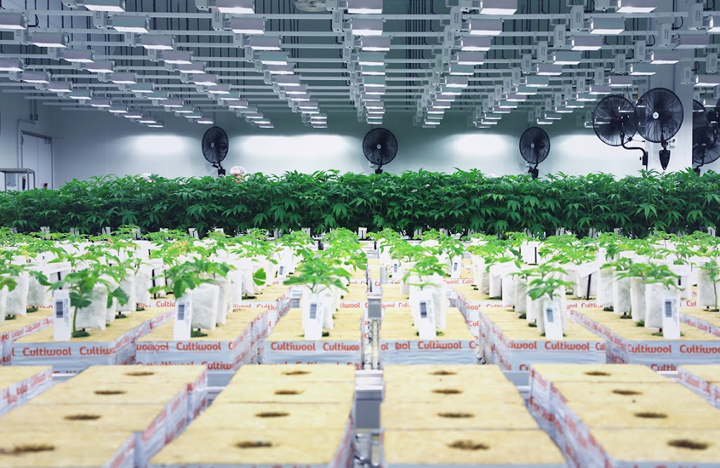 Cannara Biotech Farnham | 1144 Bd Magenta E, Farnham, QC J2N 1C1, Canada | Phone: (450) 337-1574