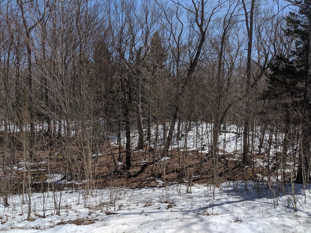Future Tattenham Crescent Park and Trail | 281 Tattenham Crescent, Hammonds Plains, NS B4B 1V2, Canada