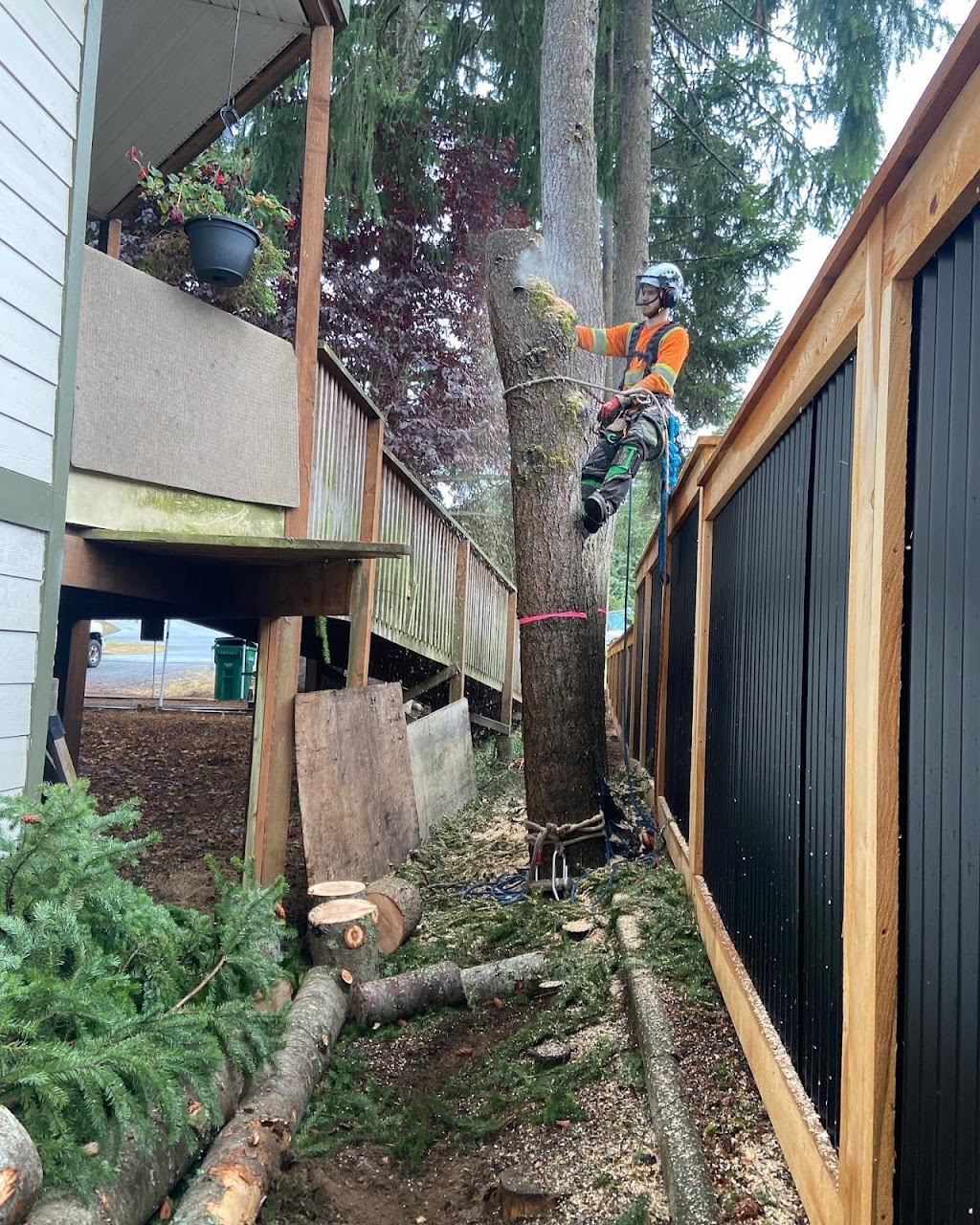 Accure Tree Service | 3484 Osprey Lookout, Nanaimo, BC V9T 4E7, Canada | Phone: (250) 713-9781