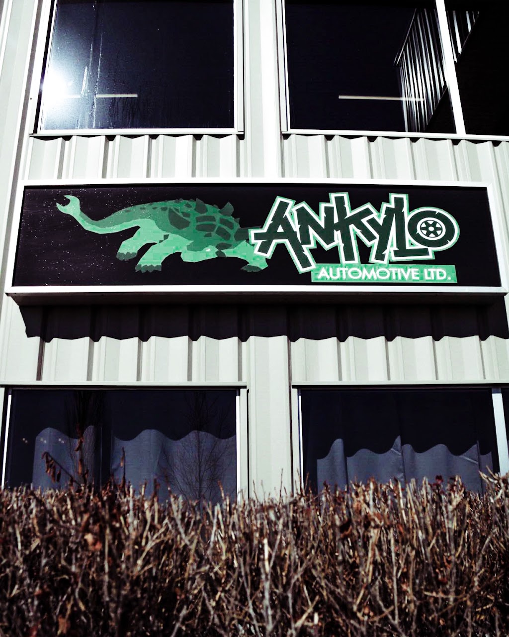 Ankylo Automotive | 6630 71 St #6, Red Deer, AB T4P 3Y7, Canada | Phone: (403) 896-2800