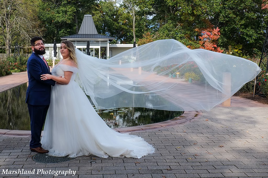 Marshland Photography | 105 Portrush Ct, Freelton, ON L8B 1A5, Canada | Phone: (289) 230-3720