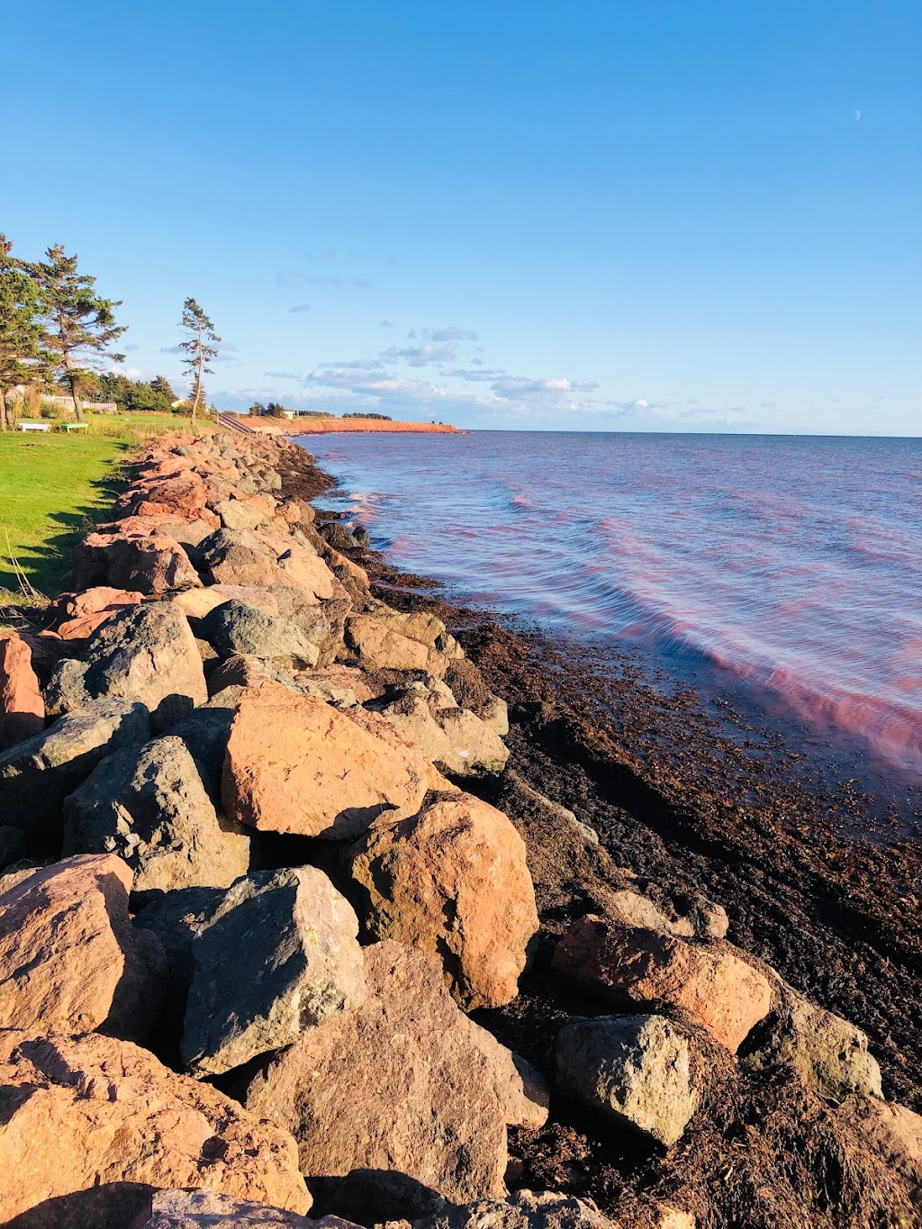 A Distant Shore Beachfront Cottages | 154 MacDougall Rd, Bonshaw, PE C0A 1C0, Canada | Phone: (902) 675-2447